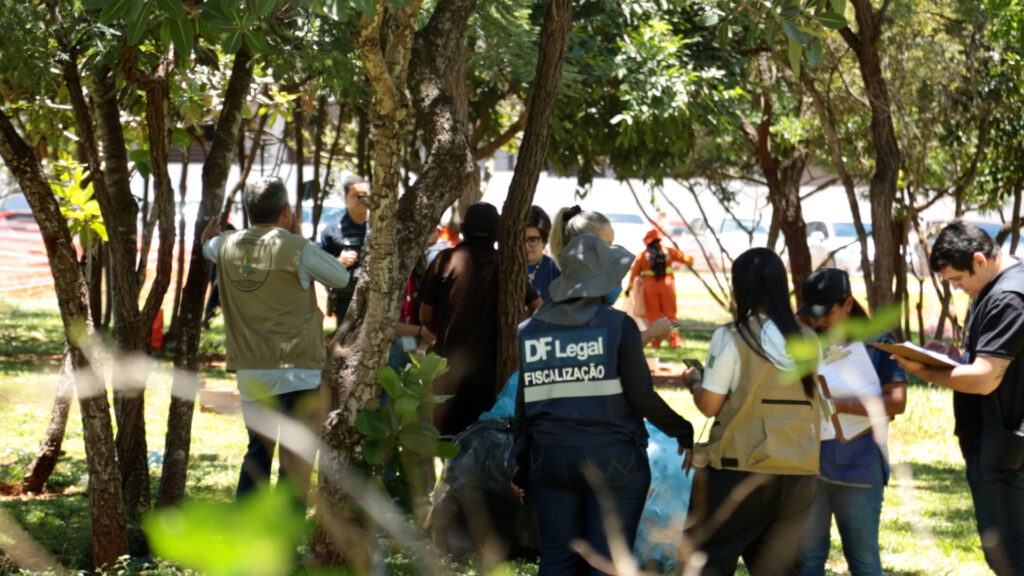 agencia-brasilia-1781620142